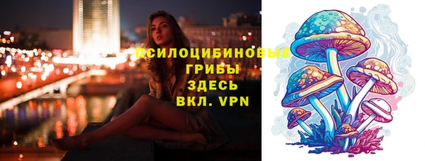 а пвп мука Бородино